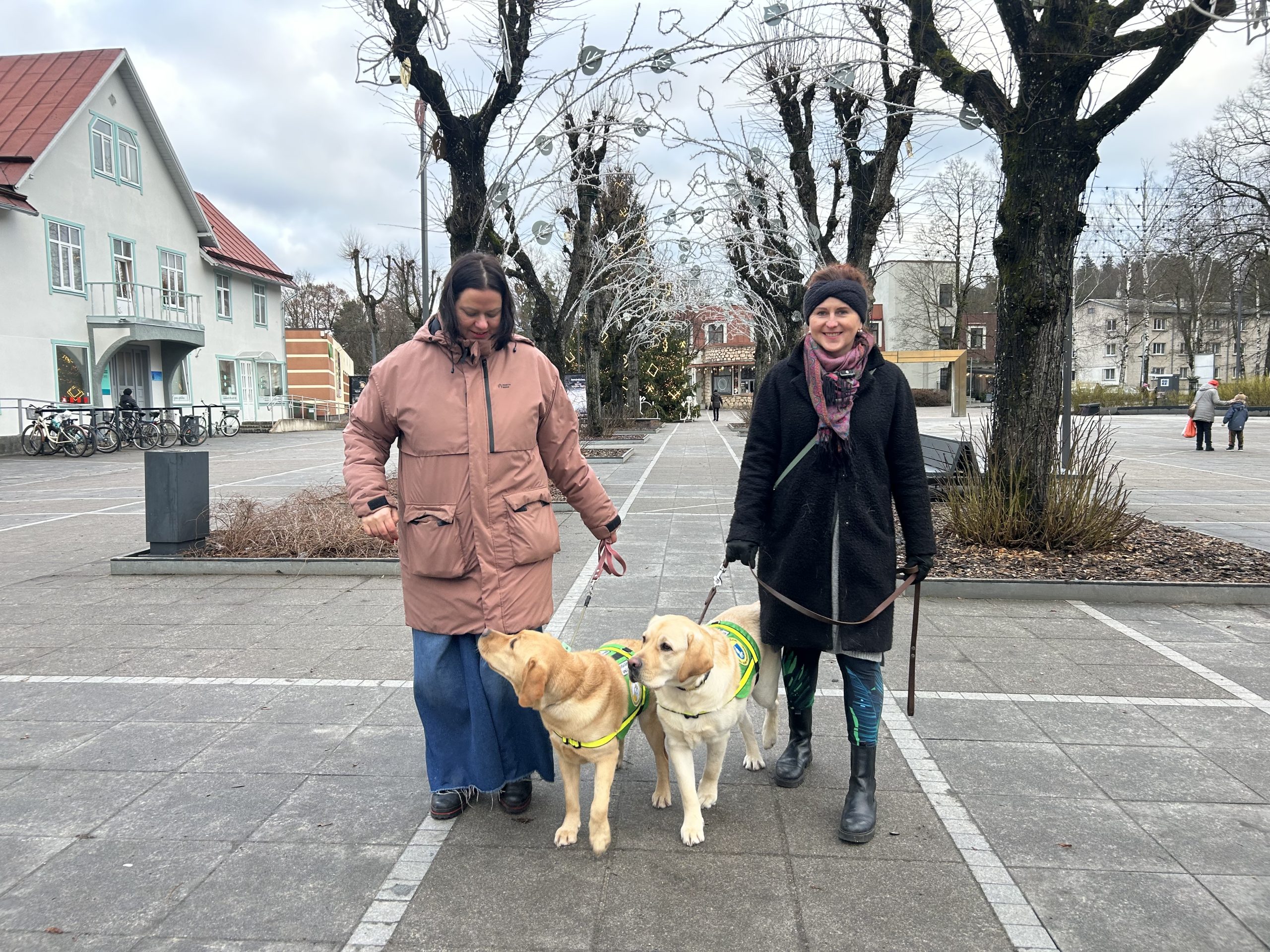 Divas sievietes ziemas apģērbā stāv pilsētas laukumā, katra turot pavadā labradoru, kuriem mugurā ir zaļas servisa suņu vestes.