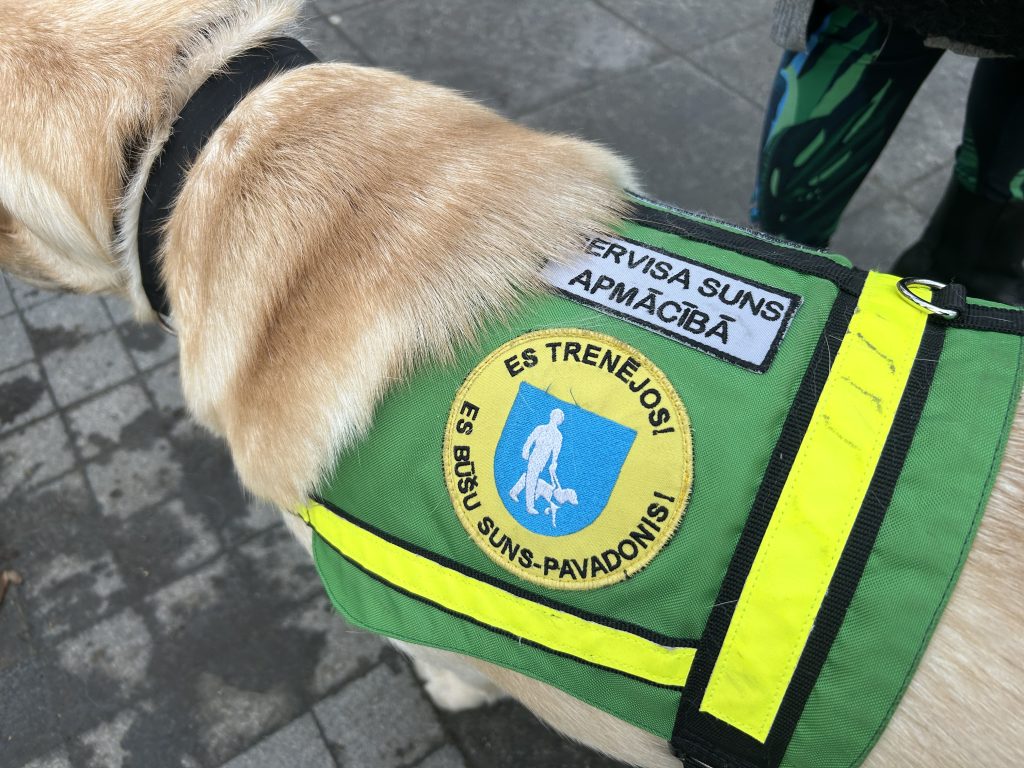 Tuvplāns servisa suņa zaļajai vestei, uz kuras ir uzšuve "SERVISA SUNS APMĀCĪBĀ" un emblēma ar tekstu "ES TRENĒJOS! ES BŪŠU SUNS-PAVADONIS!".