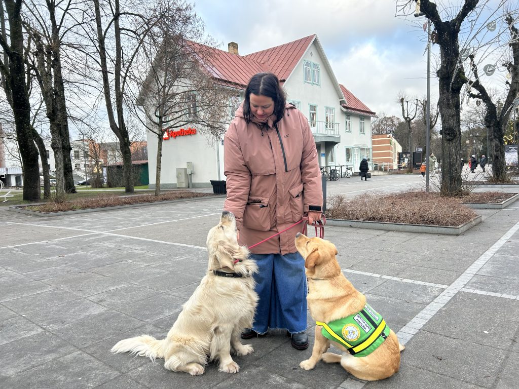 Līva Dāce rozā jakā stāv laukumā starp diviem suņiem – zeltaino retrīveru Ņūtonu (no kreisās) un labradoru Rotu, kurai ir zaļa servisa suņa veste.