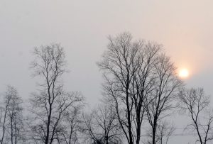 Ziemas saulgriežos zema saule virs kailiem kokiem miglainā dienā