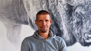 Vīrietis pelēkā džemperī pozē pie liellopa fototapetes, skatoties kamerā.