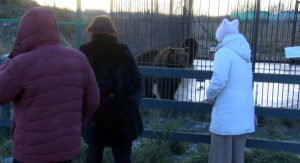 Cilvēki pie lāču voljēra vēro iežogotos lāčus