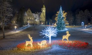 Wagenküll ziemas burvju zeme Taageperas pils parkā ar izgaismotām rozēm, briežu skulptūrām un Ziemassvētku eglēm naktī
