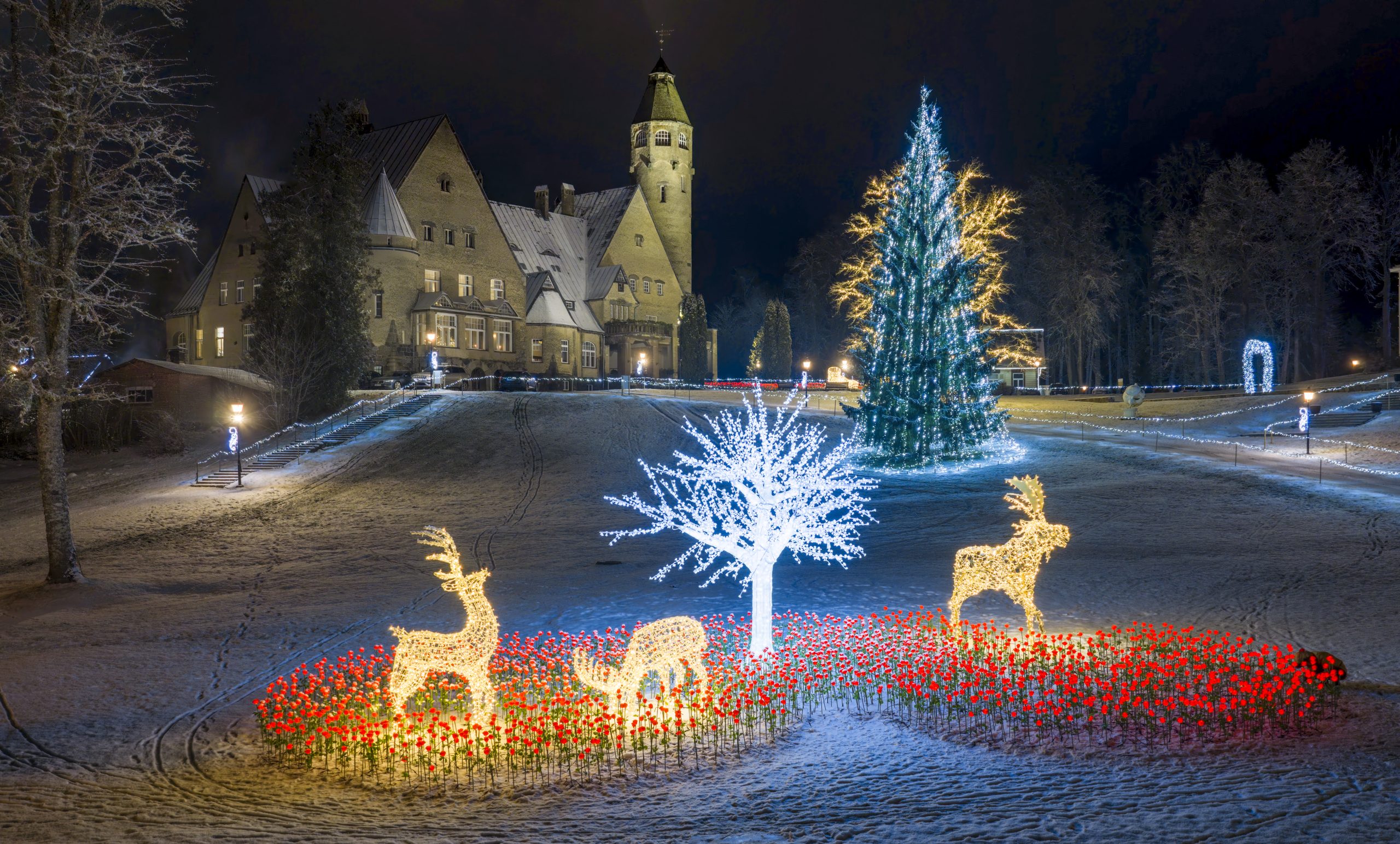 Wagenküll ziemas burvju zeme Taageperas pils parkā ar izgaismotām rozēm, briežu skulptūrām un Ziemassvētku eglēm naktī