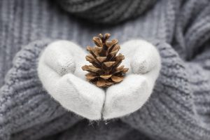 Rokās cimdos turēts egles čiekurs ziemas noskaņā.