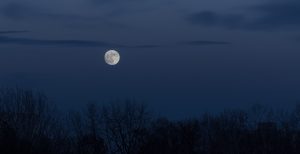 Mēness nakts debesīs virs koku siluetiem.