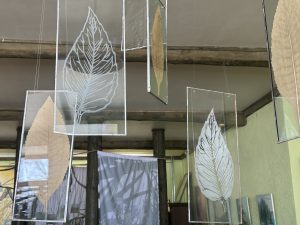 Stikla plāksnēs iegravētas lapu formas mākslas instalācija telpā