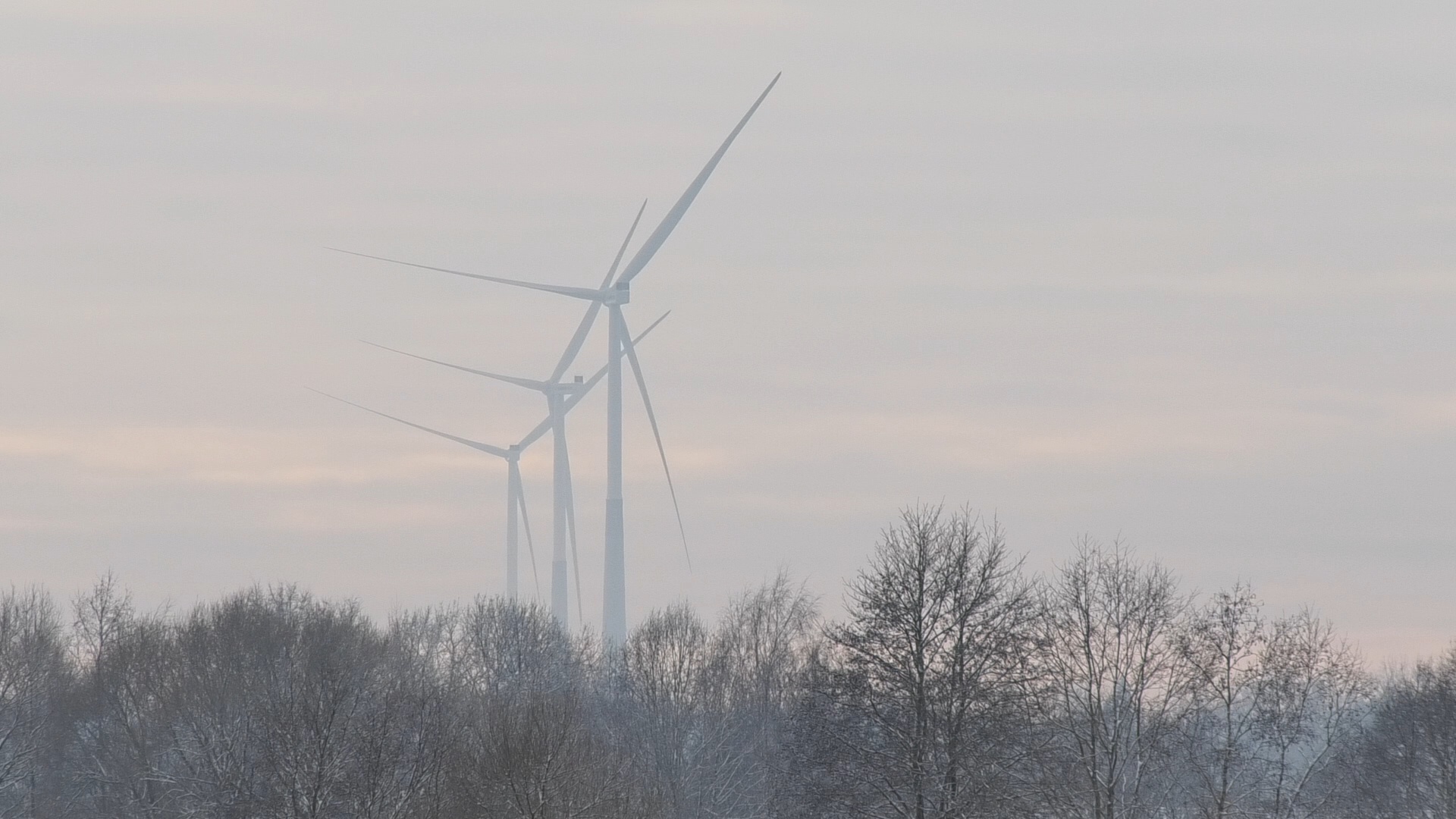 Vēja turbīnas Zemgales ainavā miglainā laikā.
