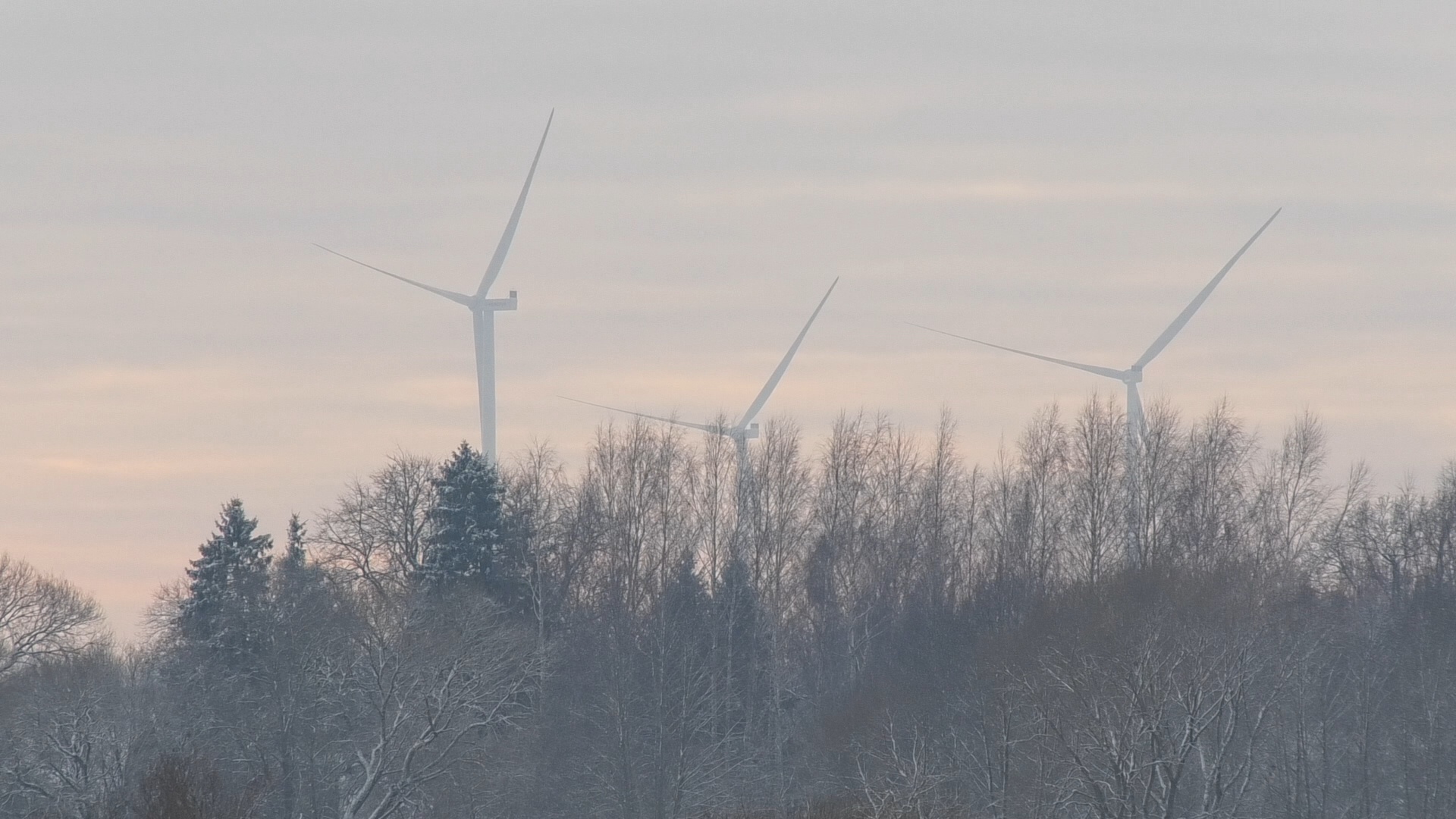 Vēja elektrostacijas virs koku galotnēm ziemas ainavā