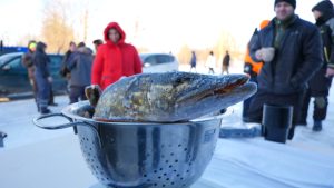 Līdaka metāla caurdurī ziemas pasākumā
