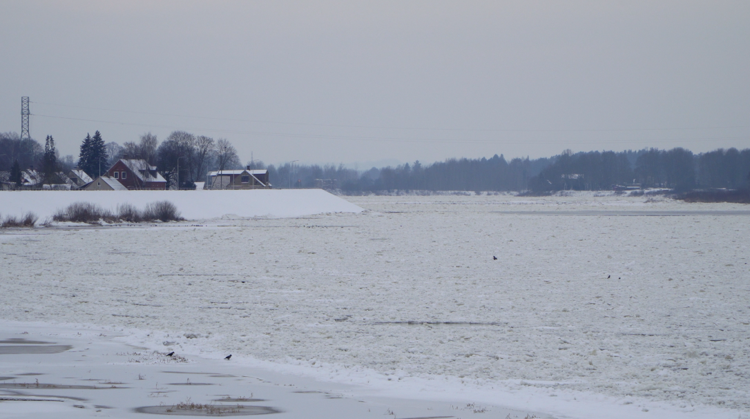 Daugava pie Jēkabpils ziemā, klāta ar vižņiem un ledu.