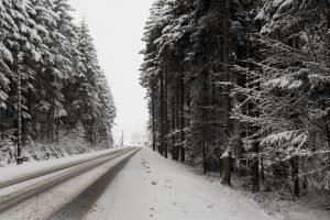 Ziemas ceļš cauri sniegotam skujkoku mežam
