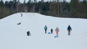 Iedzīvotāji ar bērniem bauda ziemas priekus sniegotā kalnā Ozolniekos Jelgavas novadā