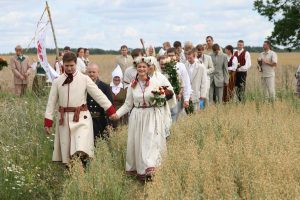 Jaunais pāris latviešu tautastērpos ved kāzu gājienu cauri labības laukam, viesiem sekojot aiz muguras.