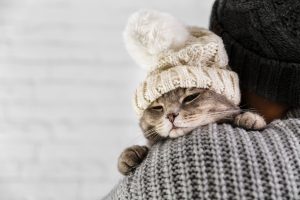 Kaķis ziemas cepurē, sarāvies aukstumā, simbolizējot bargu salu Latvijā.