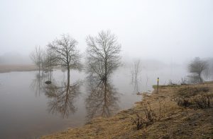 Pavasara plūdi appludinājuši laukus ar kokiem miglā.