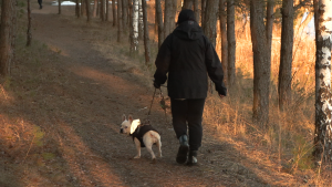 Cilvēks pastaigājas ar suni meža takā