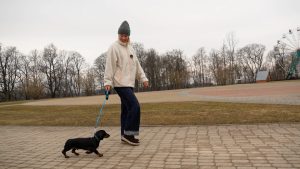 Sieviete pastaigājas ar taksi šķirnes suni parkā pavasarī