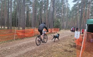 Dalībnieks ar velosipēdu un suni tuvojas finišam mežā