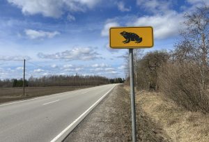 Ceļa zīme ar krupja simbolu pie lauku ceļa