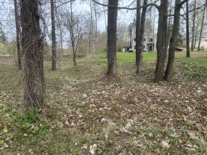 Sērenes pagasta parks ar kokiem un lapām klātu zemi pirms sakopšanas darbiem