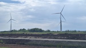 Vēja turbīnas Kaigu kūdras purvā zem mākoņainām debesīm