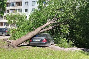 Nolūzis koks uzkritis automašīnai pie daudzdzīvokļu mājas