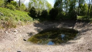 Izžuvis dīķis ar nelielu ūdens daudzumu sausuma skartā teritorijā