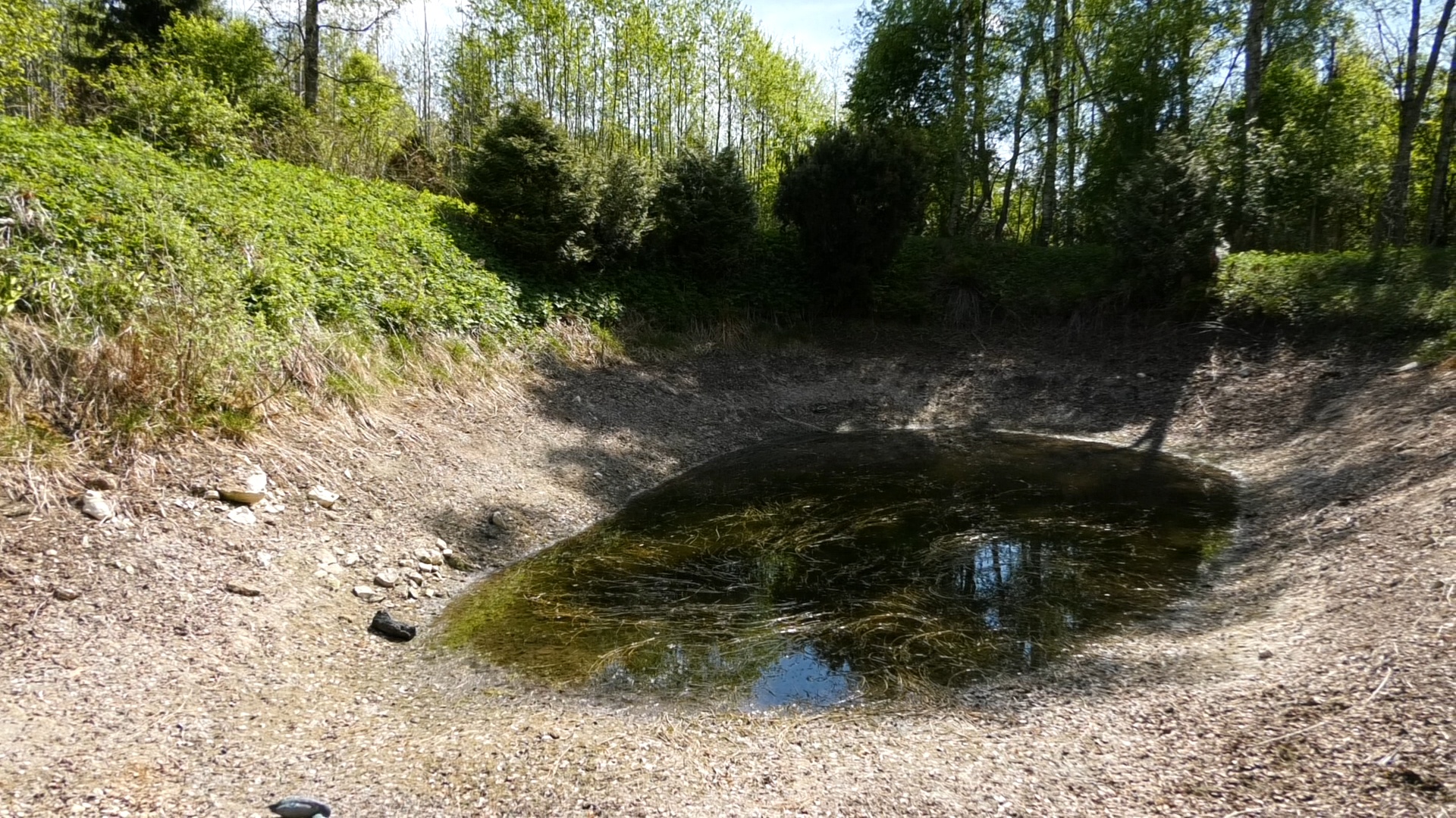 Izžuvis dīķis ar nelielu ūdens daudzumu sausuma skartā teritorijā