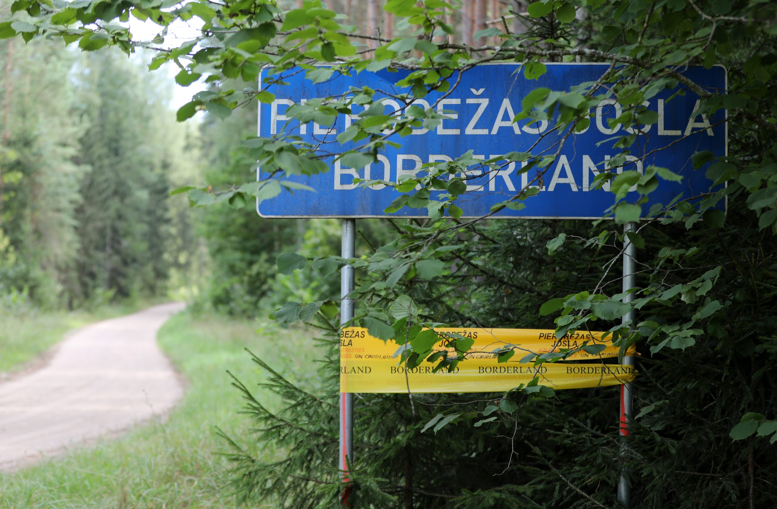 Ceļa zīme “Pierobežas josla” meža ceļa malā.