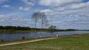 Daugavas krasts un labiekārtotā teritorija Daugavas pussalā Līvānos