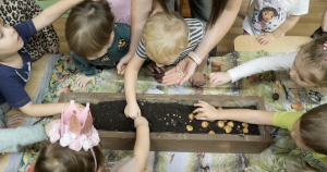 Bērni kopā ar pedagogu stāda sīpolus un sēklas kastē ar zemi bērnudārza nodarbībā