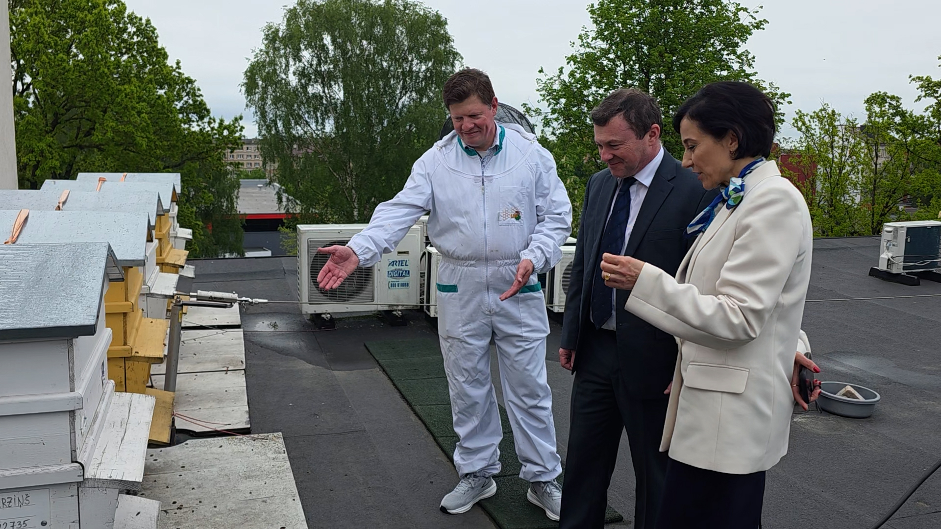 Cilvēki apskata urbānās bišu saimes uz ēkas jumta Jelgavā