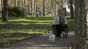 Persona ratiņkrēslā pastaigājas pa koka taku parkā kopā ar mazu baltiem suņuku.