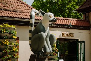 Animācijas filmas “Straume” varoņa Lemura skulptūra pie Rīgas Zooloģiskā dārza Mežaparkā.
