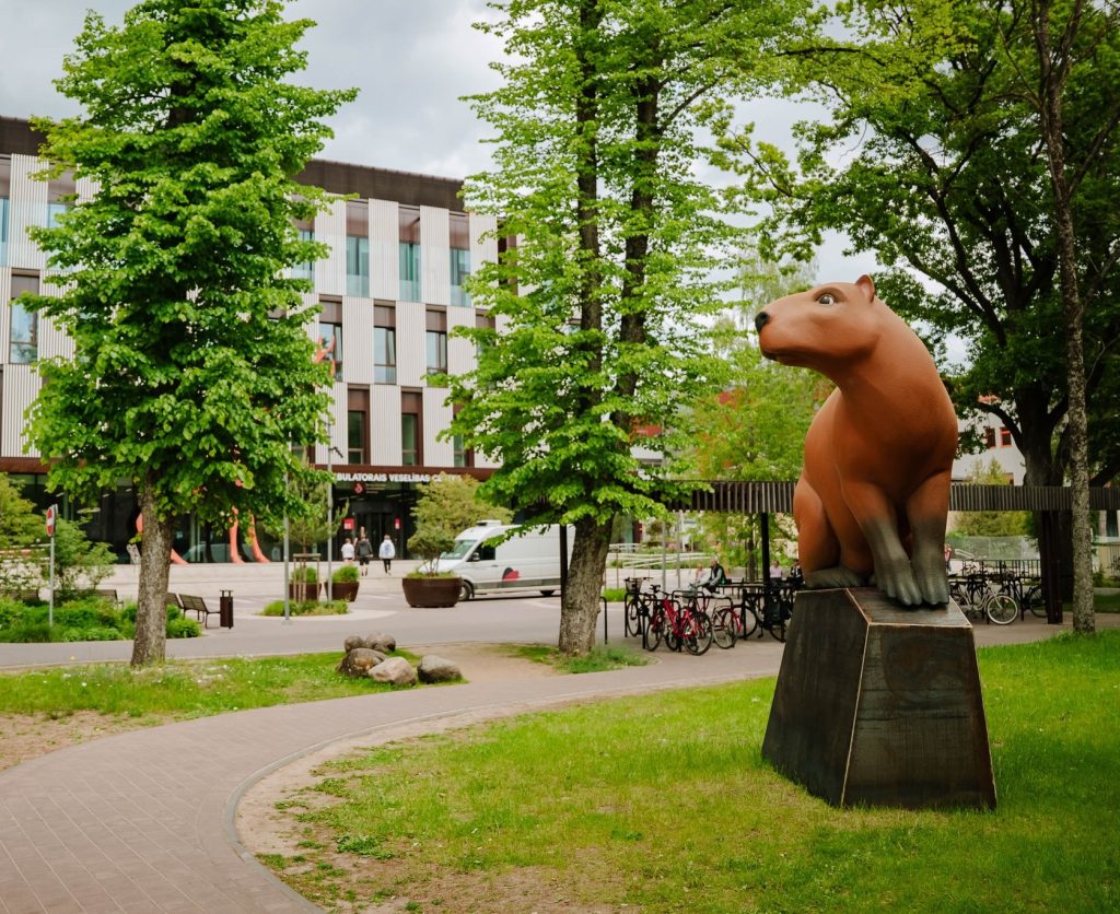 Kapibaras skulptūra pie Bērnu klīniskās universitātes slimnīcas Vienības gatvē.