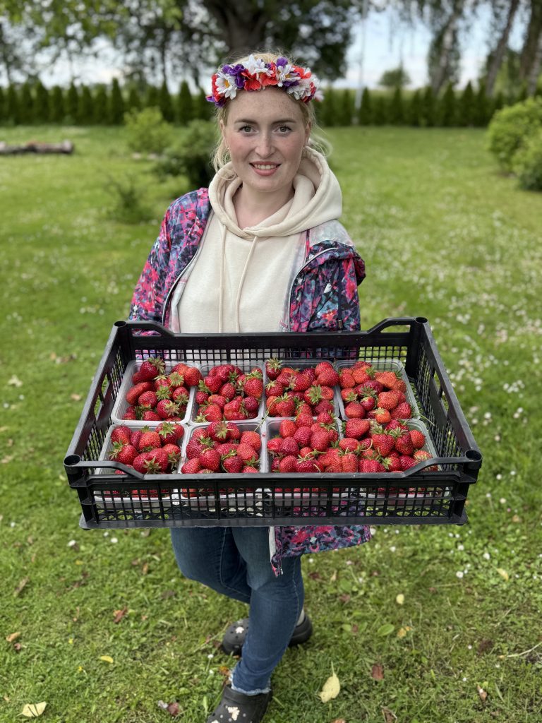 Jauna sieviete ar ziedu vainagu rokās tur kasti ar svaigi lasītām zemenēm dārzā.