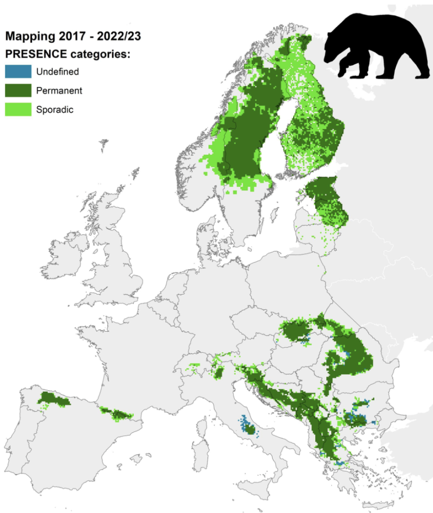 Eiropas karte ar brūno lāču izplatības teritorijām.