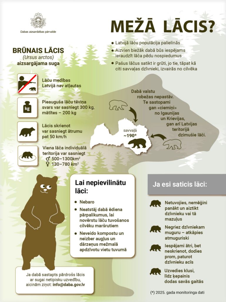 Dabas aizsardzības pārvaldes infografika ar informāciju par brūno lāci, tā izplatību Latvijā un ieteikumiem rīcībai sastapšanās gadījumā.