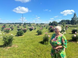 Sieviete stāv plašā peoniju dārzā, kur zied desmitiem dažādu šķirņu peoniju.