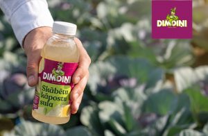Dimdiņi