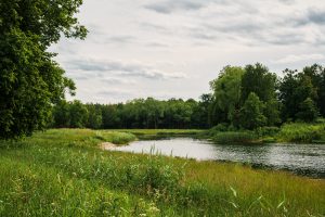 Zaļa ezera ainava ar kokiem un zālāju mākoņainā vasaras dienā.