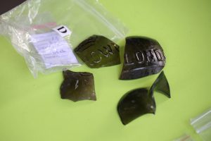 arheoloģiskie izrakumi Zasas muižā