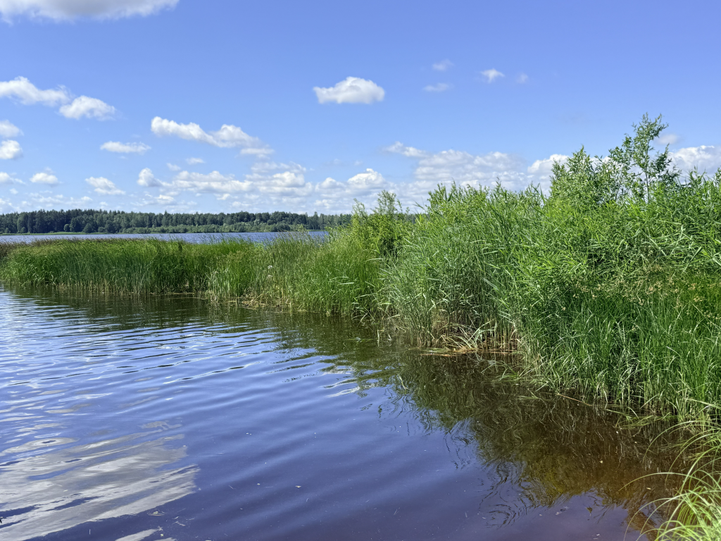 Daugavas ūdeņi un zaļš krasts vasaras dienā pie Ikšķiles.
