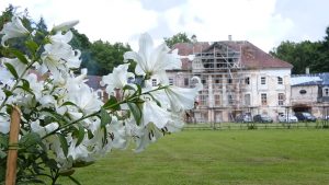 Baltas lilijas Kaucmindes pils priekšplānā, fonā redzama vēsturiskā ēka un tās atjaunošanas sastatnes.