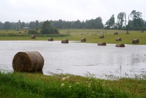 Lauksaimniecības lauks applūdis pēc spēcīgām lietavām, ūdenī daļēji iegrimuši siena ruļļi.