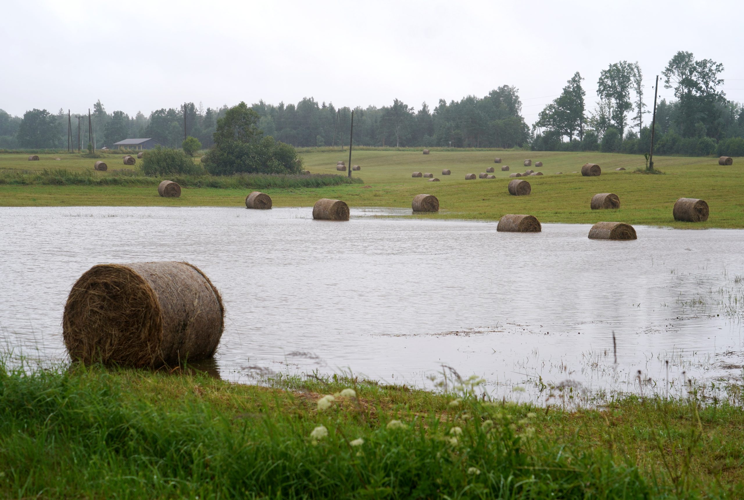 Lauksaimniecības lauks applūdis pēc spēcīgām lietavām, ūdenī daļēji iegrimuši siena ruļļi.