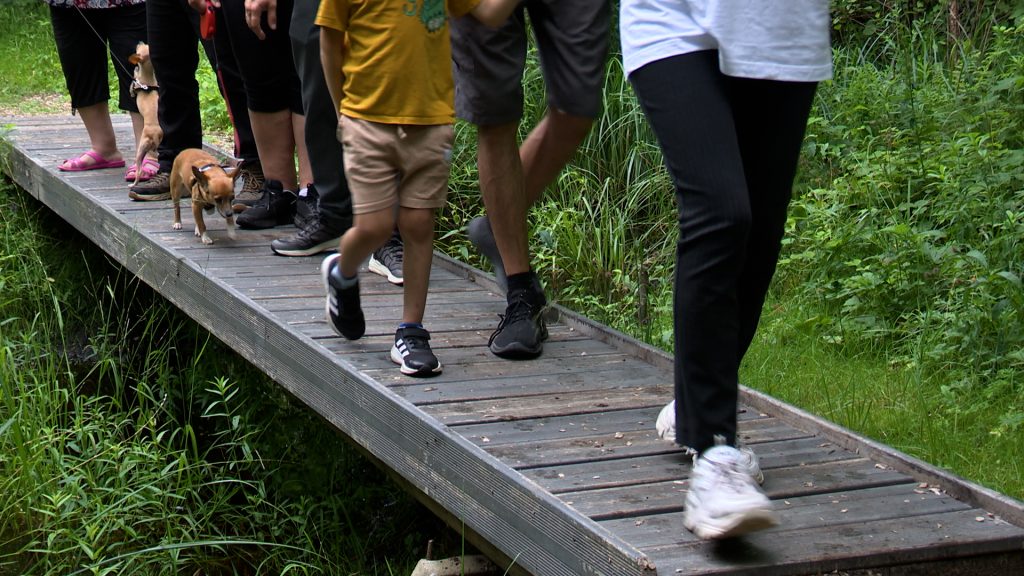 Viskaļu iedzīvotāji dodas pāri atjaunotajam tiltiņam meža takā.