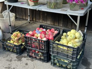 Kastes ar dažādu šķirņu āboliem tirgus stendā