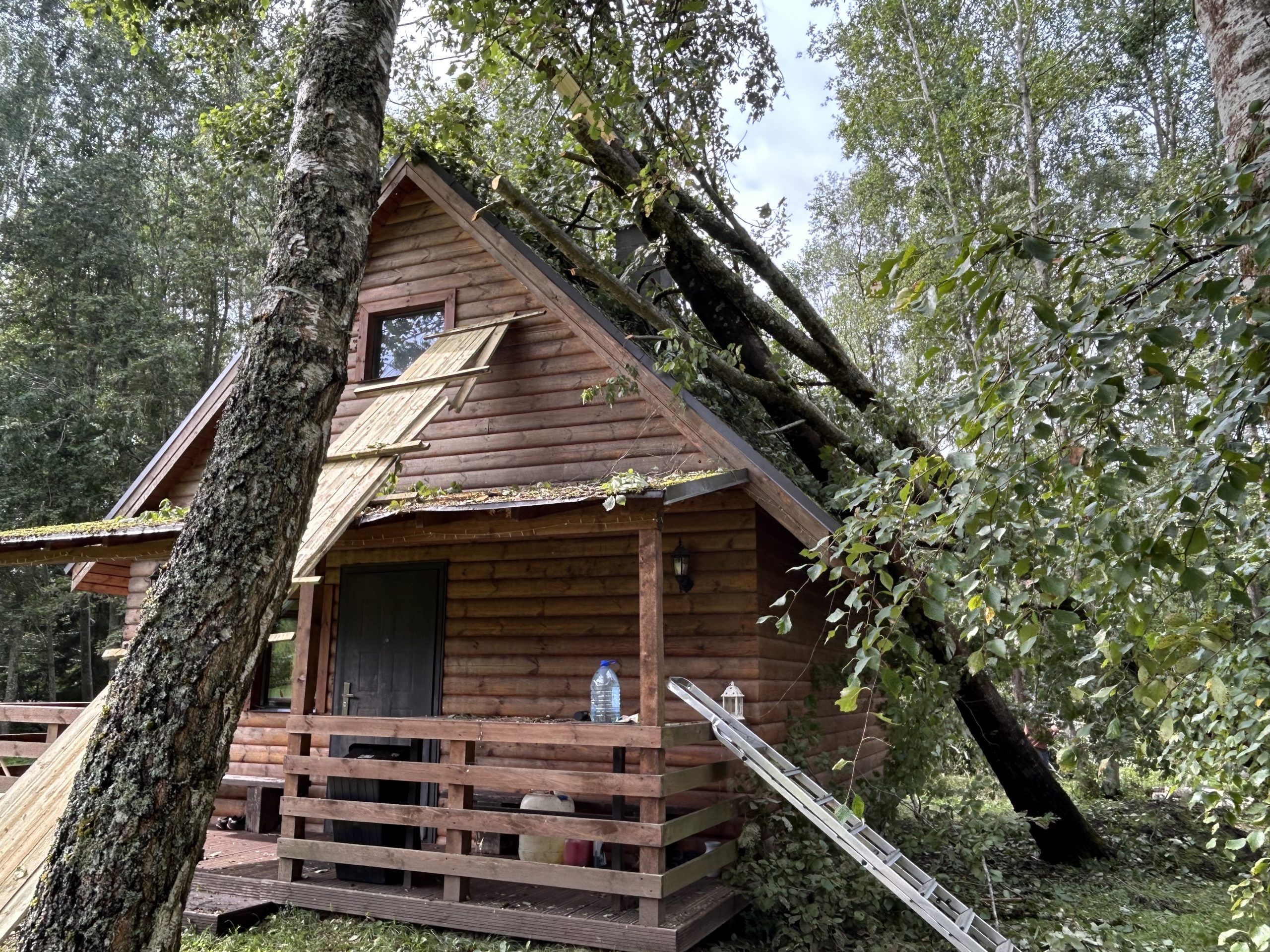 Vētras nogāzts koks uzkritis koka mājai, bojājot tās jumtu